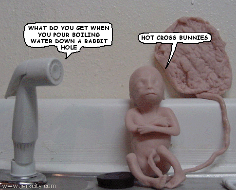 the fetus and nozzle show