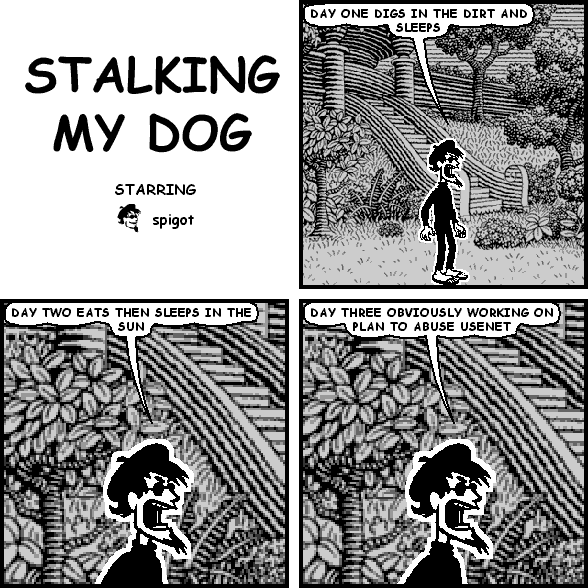stalking my dog