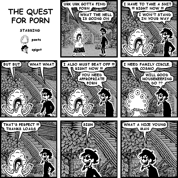 the quest for porn
