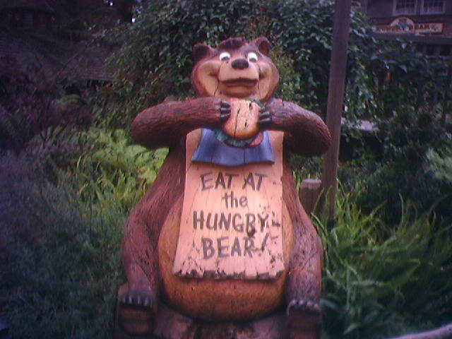 picture of a hungry bear