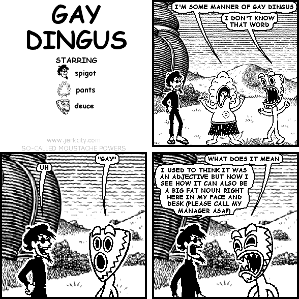 gay dingus