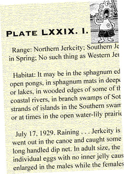 : PLATE LXXIX. I.
:
:  Range: Northern Jerkcity; Southern Je
: in Spring; No such thing as Western Jer
:
:  Habitat: It may be in the sphagnum ed
: open pongs, in sphagnum mats in deepe
: or lakes, in wooded edges of some of th
: coastal rivers, in branch swamps of Sot
: strands of islands in the Southern swam
: or at times in the open water-lily prairie
:
:  July 17, 1929. Raining . . . Jerkcity is
: went out in the canoe and caught some
: long handled dip net.  In adult size, the
: individual eggs with no inner jelly caus
: enlarged in the males while the females