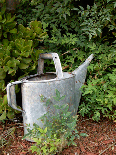 picture of a watering can