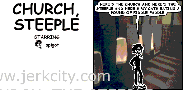 the church, the steeple