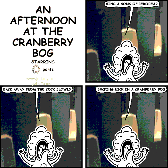 an afternoon at the cranberry bog