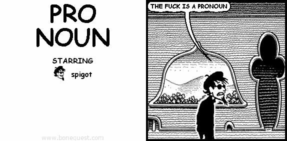 spigot: THE FUCK IS A PRONOUN
