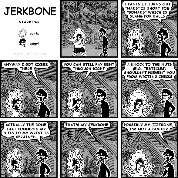 spigot: T PANTS IT TURNS OUT "NADS" IS SHORT FOR "GONADS" WHICH IS SLANG FOR BALLS
spigot: ANYWAY I GOT KICKED THERE
pants: YOU CAN STILL PAY RENT THROUGH RIGHT
pants: A KNOCK TO THE NUTS (E.G. TESTICLES) SHOULDN'T PREVENT YOU FROM WRITING CHECKS
spigot: ACTUALLY THE BONE THAT CONNECTS MY NUTS TO MY WRIST IS SPRAINED
spigot: THAT'S MY JERKBONE
spigot: POSSIBLY MY JIZZBONE, I'M NOT A DOCTOR