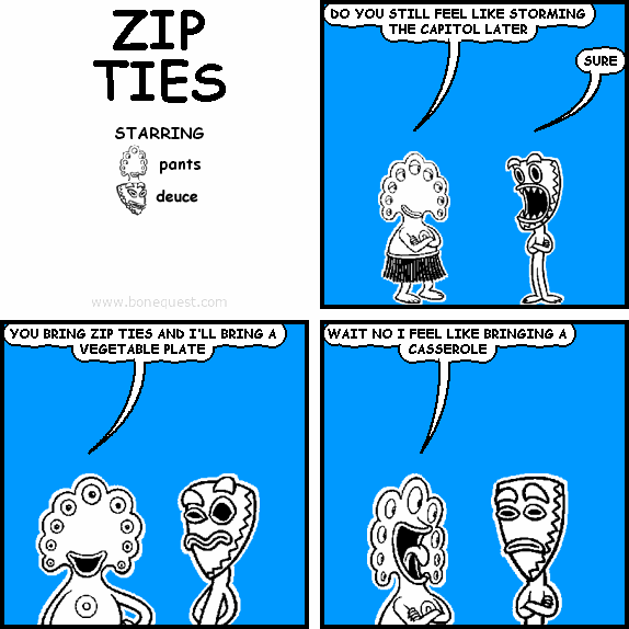 pants: DO YOU STILL FEEL LIKE STORMING THE CAPITOL LATER
deuce: SURE
pants: YOU BRING ZIP TIES AND I'LL BRING A VEGETABLE PLATE
pants: WAIT NO I FEEL LIKE BRINGING A CASSEROLE