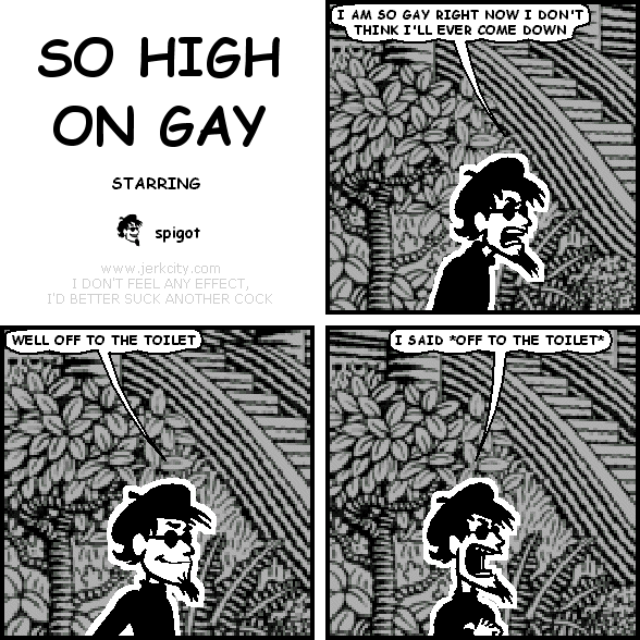 so high on gay