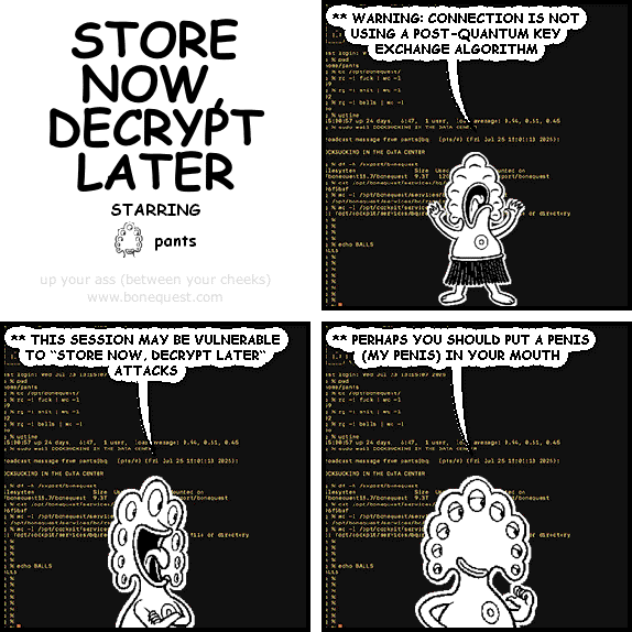 store now, decrypt later