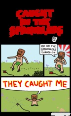 socketquest
